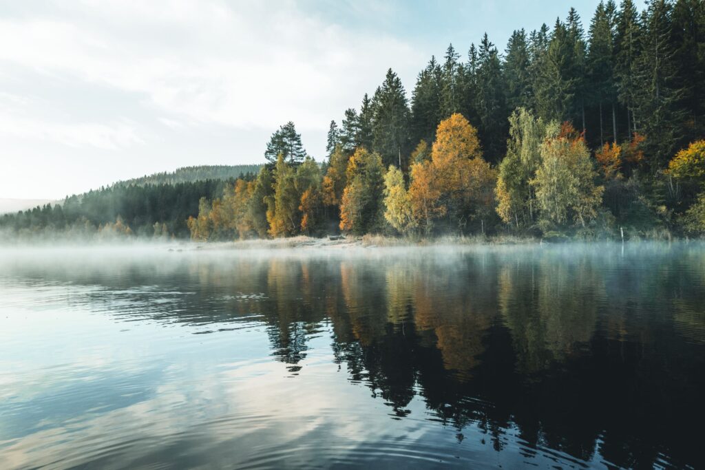 Une forêt et un lac qui illustrent les engagements en faveur de l'environnement de la marque Hansgrohe 
